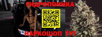 дживик Можга