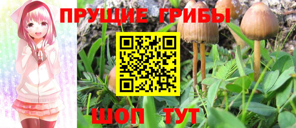 Галлюциногенные грибы Magic Shrooms  Псилоцибиновые грибы MAGIC MUSHROOMS  Вход с VPN  Вологда 